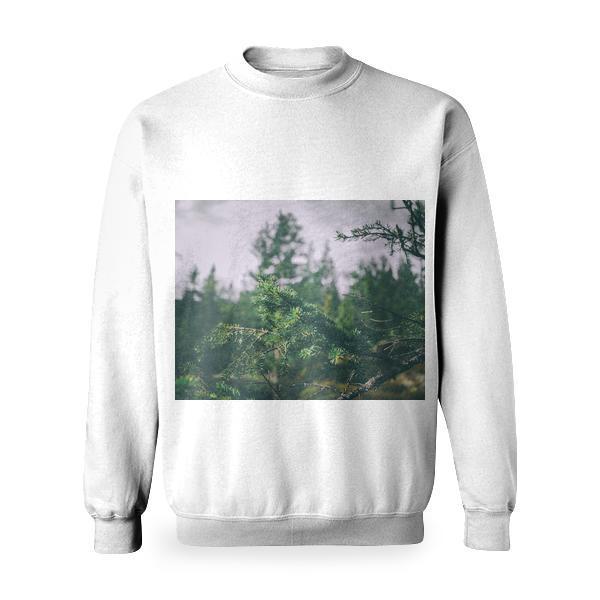 Light Nature Forest Trees Basic Sweatshirt