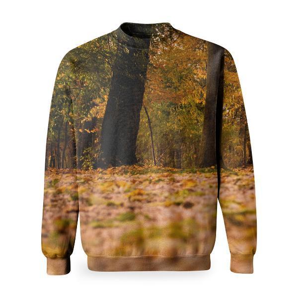 View Of Trees In Forest During Autumn Basic Sweatshirt