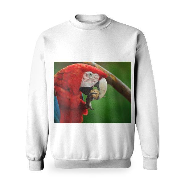 Red White Blue And Green Parrot Bird Basic Sweatshirt