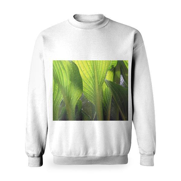 Green Leaves Basic Sweatshirt