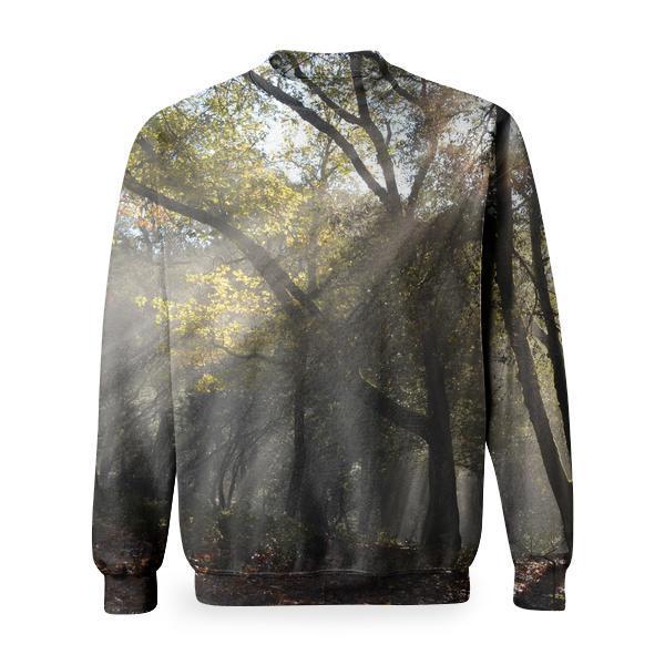 Trunks And Branches Of Trees During Day Time Basic Sweatshirt