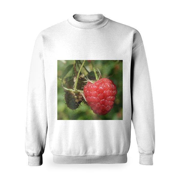 Red Raspberry On The Plant Basic Sweatshirt