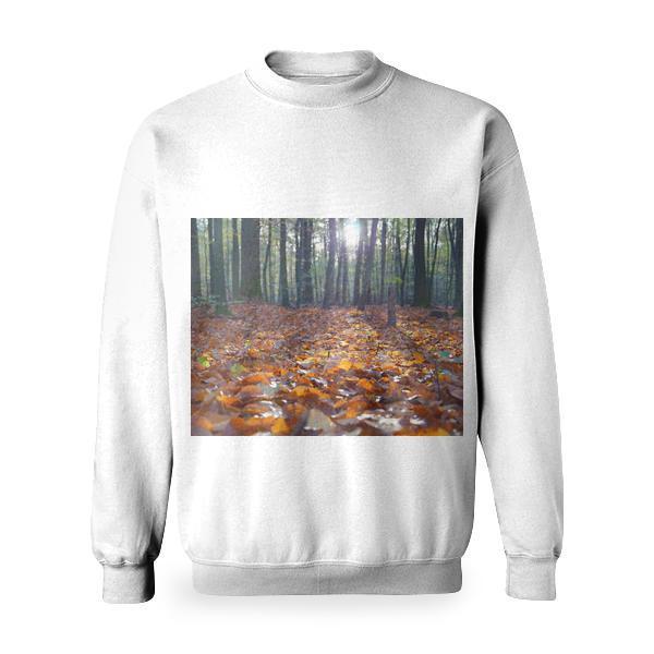 Orange Dry Leaves On The Ground Inside Forest Under Clear Sky Basic Sweatshirt