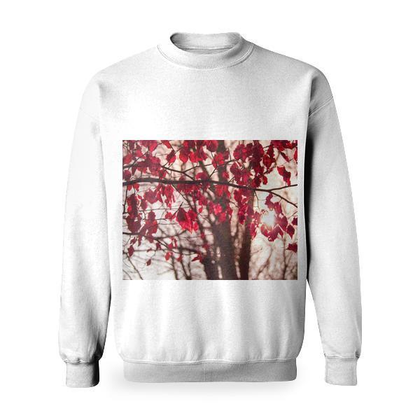 Nature Red Forest Trees Basic Sweatshirt