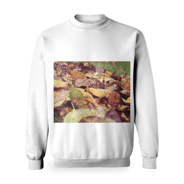 Nature Dry Blur Leaves Basic Sweatshirt