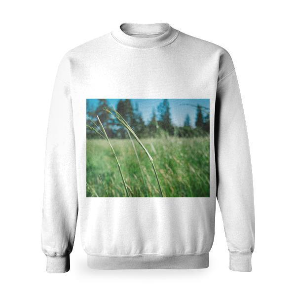 Nature Sunny Field Summer Basic Sweatshirt