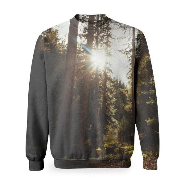 Wood Nature Sun Forest Basic Sweatshirt