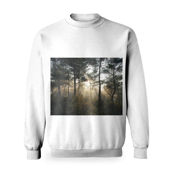 Nature Forest Trees Sunbeams Basic Sweatshirt