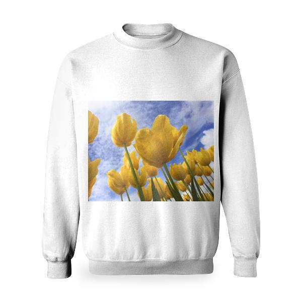 Yellow Flowers Under Blue And White Sunny Cloudy Sky Basic Sweatshirt