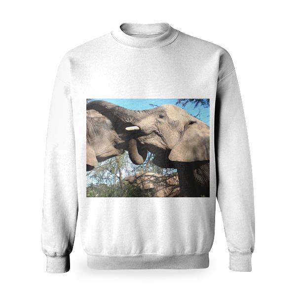 2 Elephant Animal Basic Sweatshirt