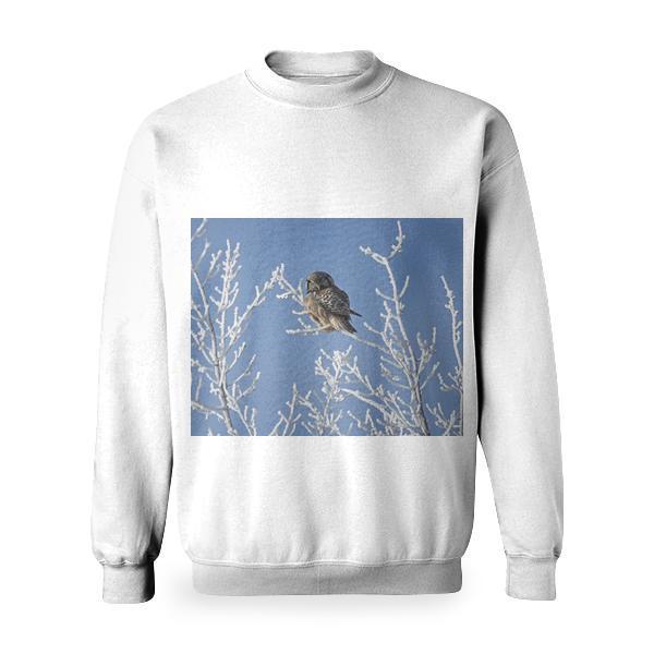Brown Owl On Tree Trunks Basic Sweatshirt