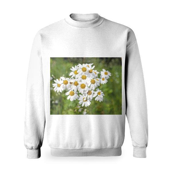 Nature Sunny Field Flowers Basic Sweatshirt