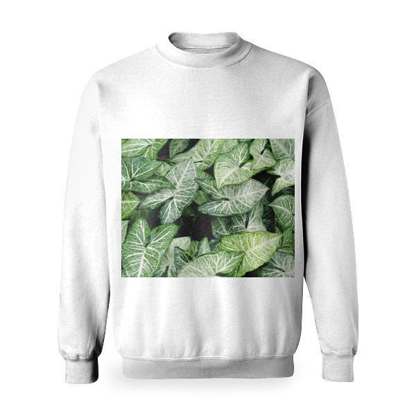 White And Green Petal Flower Basic Sweatshirt