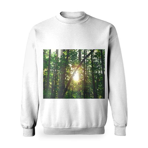 Silhouette Of Tree Trunks With Reflection Sun During Daytime Basic Sweatshirt