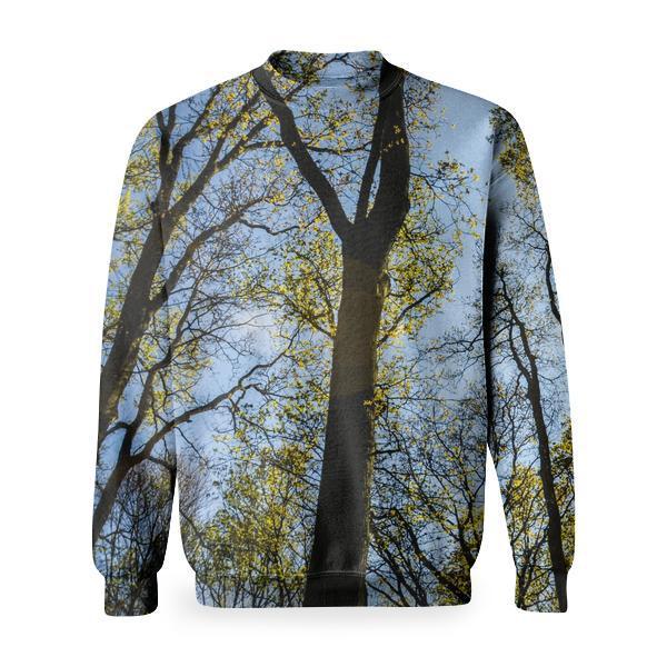 Thin Trees With Small Green Leaves Basic Sweatshirt