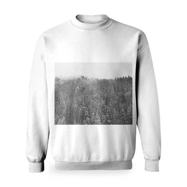 Photo Of Trees Basic Sweatshirt