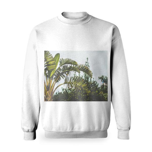 Green Leaf Banana Plant In A Camera Focus Photo During Daytime Under White Clouds Basic Sweatshirt