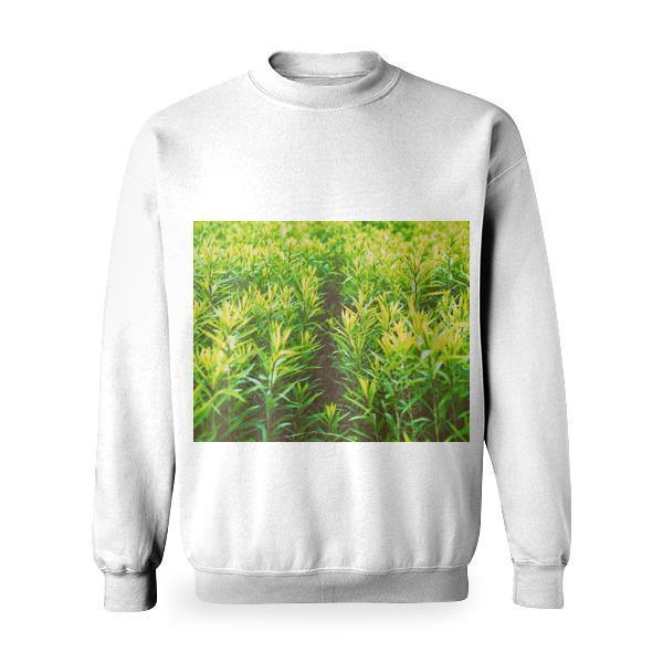 Green Grass Basic Sweatshirt