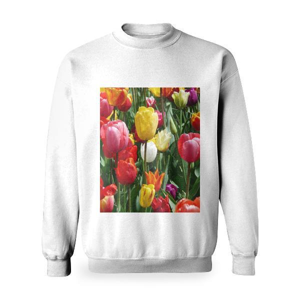 Yellow Purple And Red Tulip Flower During Day Time Basic Sweatshirt