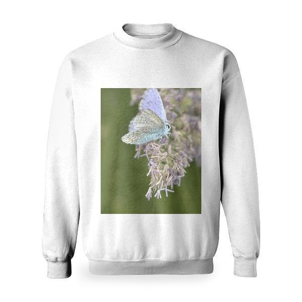 Purple White Butterfly On Purple Petaled Flower During Daytime Basic Sweatshirt