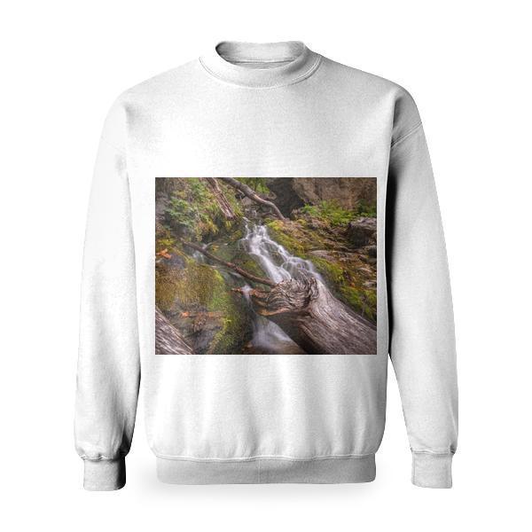 Forest With Flowing River Surrounded Grasses Basic Sweatshirt