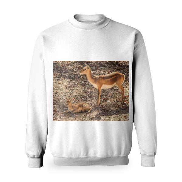 Nature Animal Wildlife Mammal Basic Sweatshirt
