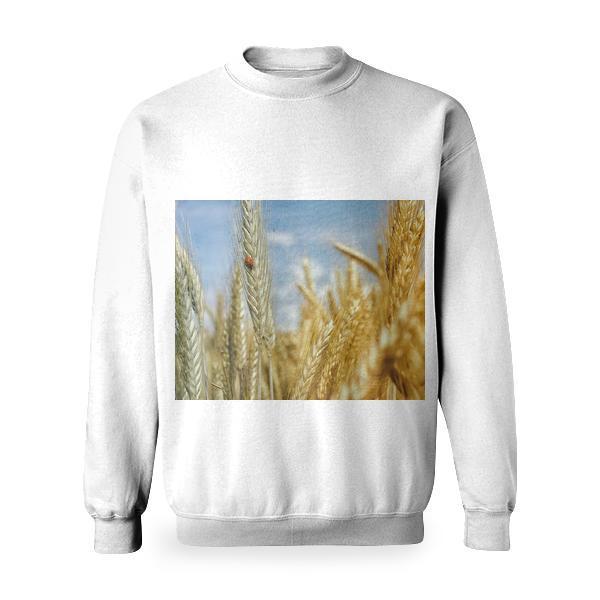 Nature Field Insect Wheat Basic Sweatshirt