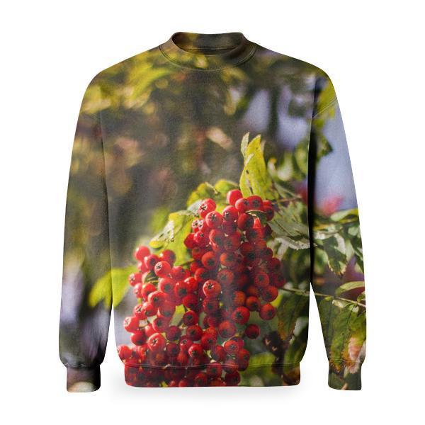 Red Berries On Tree Basic Sweatshirt