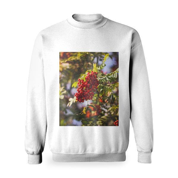 Red Berries On Tree Basic Sweatshirt