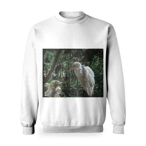 Wood Nature Bird Trees Basic Sweatshirt