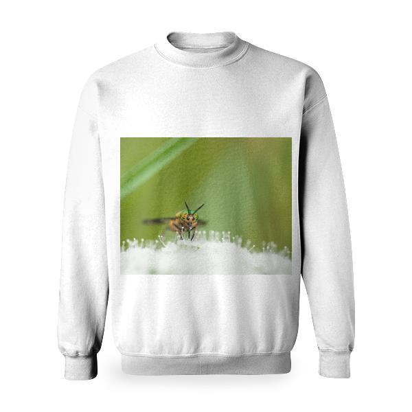 Yellow Green And Black Bee On White Flower During Day Time Basic Sweatshirt
