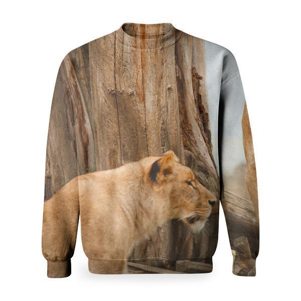 2 Lion On Grass Field During Daytime Basic Sweatshirt