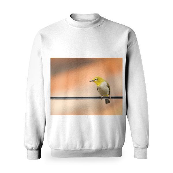 Yellow And White Bird On Black Electric Wire Basic Sweatshirt