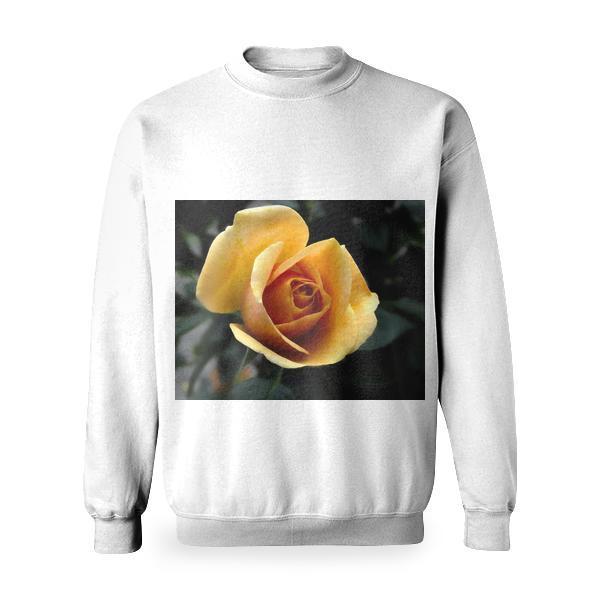 Yellow Rose Close Up Photography Basic Sweatshirt