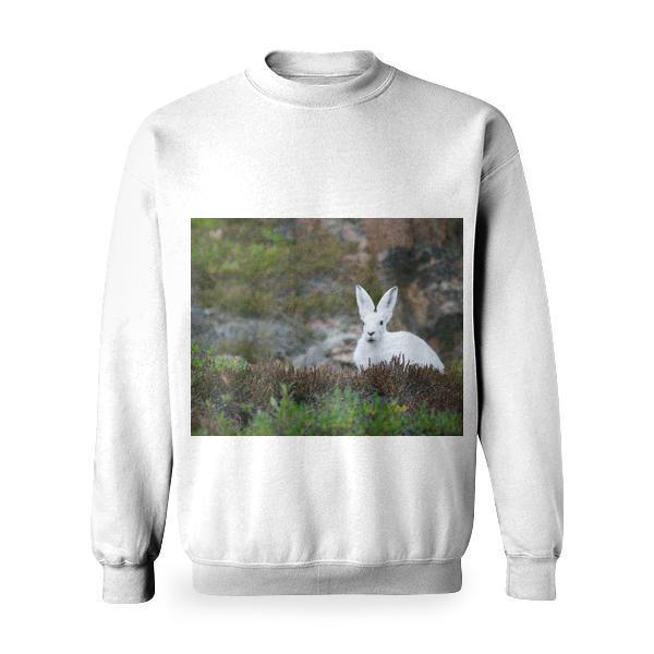 White Rabbit On Brown And Green Grass Field During Daytime Basic Sweatshirt