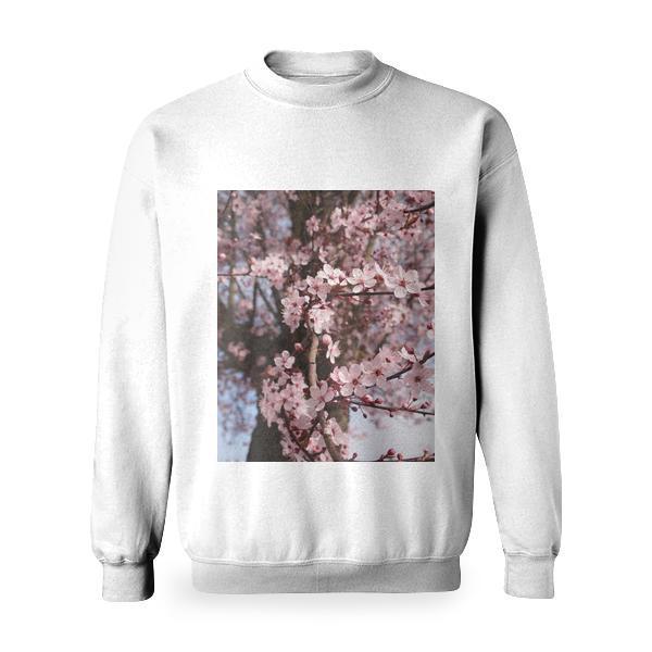 Cherry Blossom Tree Basic Sweatshirt