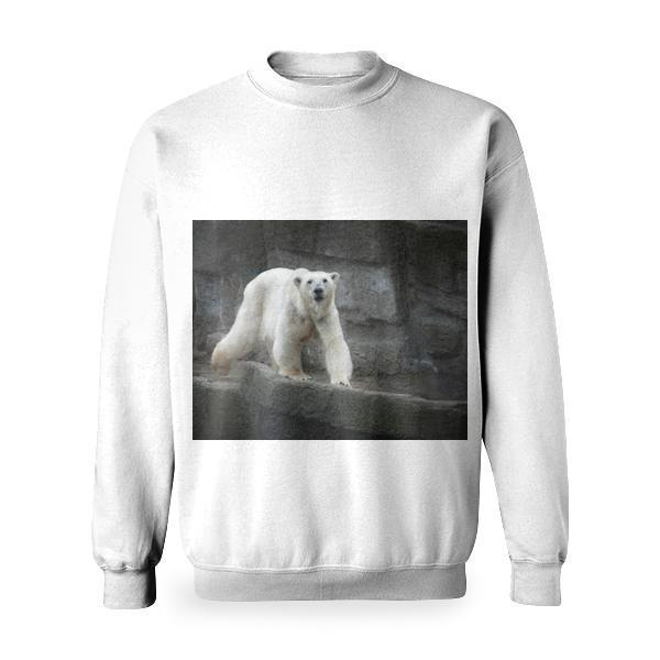 White Bear Walking In The Concrete Bridge Basic Sweatshirt