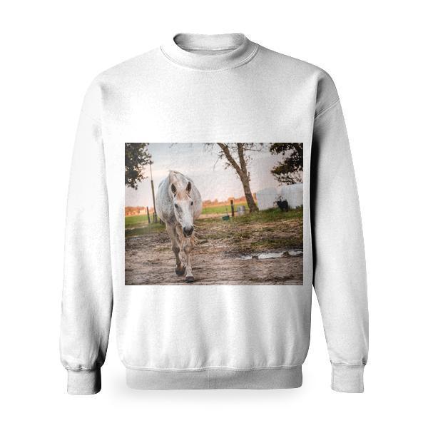 White And Brown Horse On Mud Basic Sweatshirt
