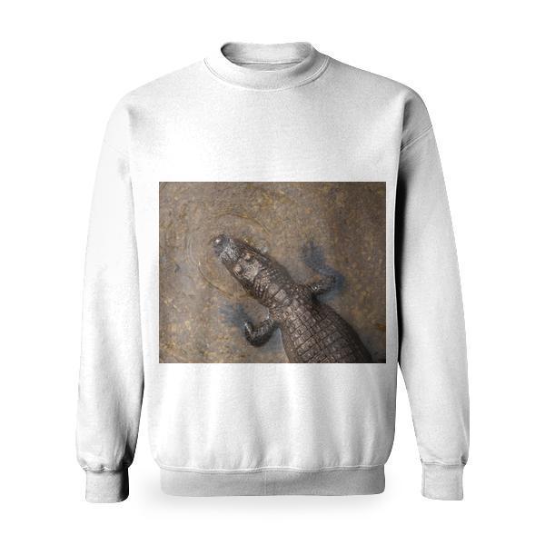 Water Animal Reptile Amphibian Basic Sweatshirt