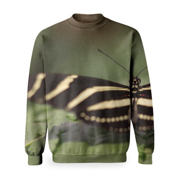 Animal Stripes Insect Butterfly Basic Sweatshirt