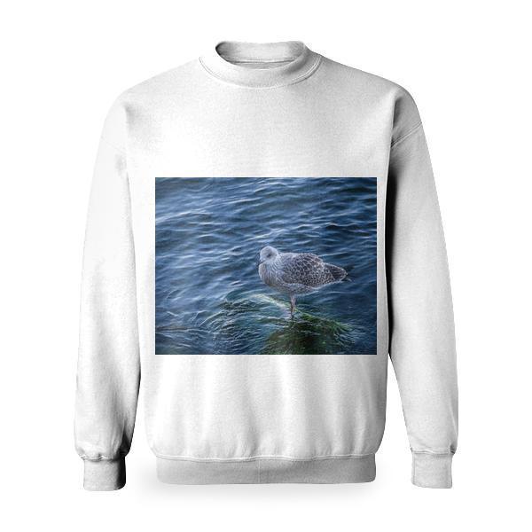 Gray Bird Standing On Green Surface Over Clear Water Basic Sweatshirt