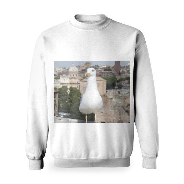 White Bird Basic Sweatshirt
