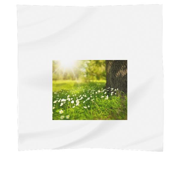 White Blooming Flower Under The Tree During Daytime Scarf