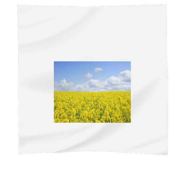 Yellow Flower Field Under Blue Cloudy Sky During Daytime Scarf