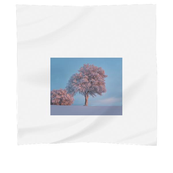 Pink Leaved Tree During Daytime Scarf