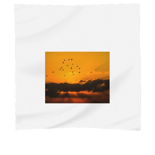 Mass Of Bird Flying During Sunset Scarf