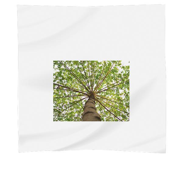 Bottom View Of Green Leaved Tree During Daytime Scarf