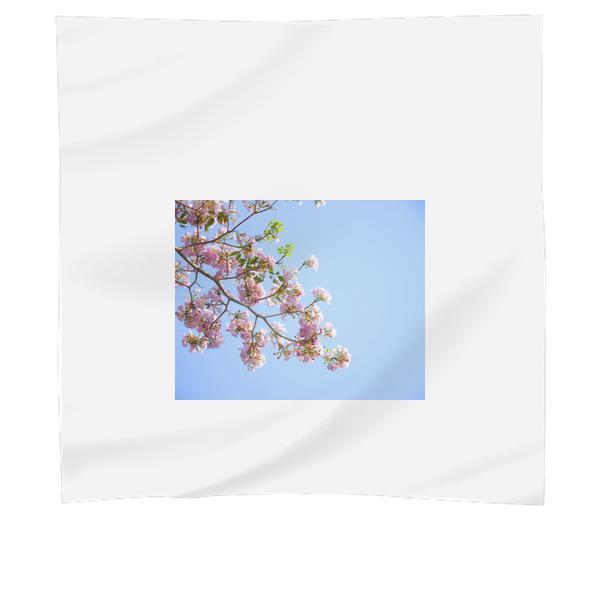 Pink Petaled Flowers Blooming During Daytime Scarf