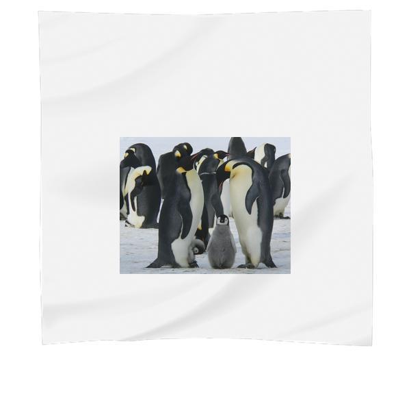 Penguins Standing On The Snow During Daytime Scarf