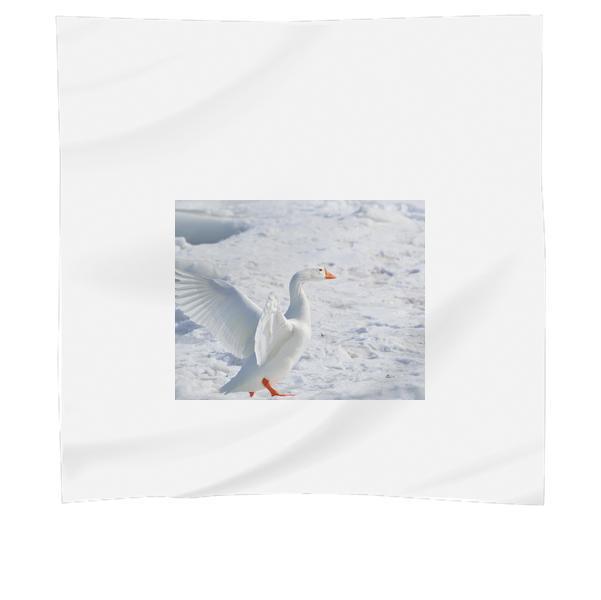 White Goose On Snow Covered Ground At Daytime Scarf